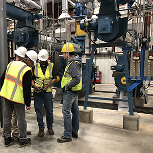 安德森 - 植物 -  image1