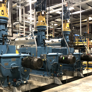 安德森植物 -  image2