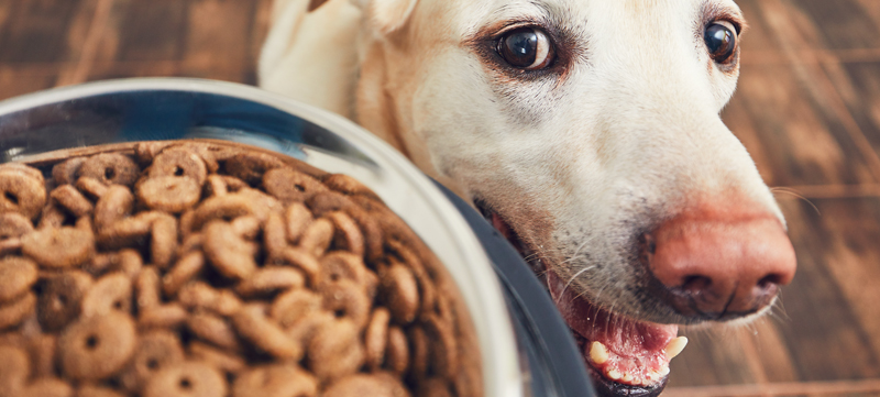 安德森宠物食品