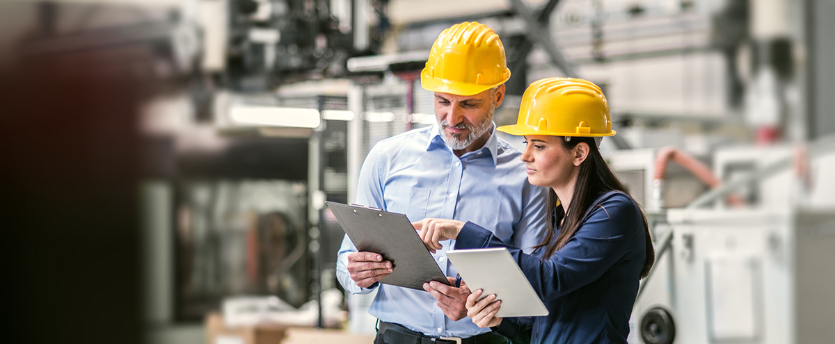 石油种子生产：降低资本成本并不总是等于更高的利润