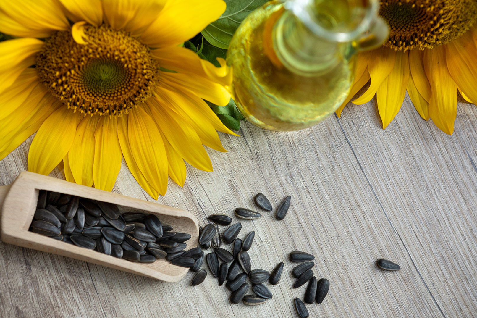 Anderson_Cold-Bumded-Uplseed-lech-Mourd